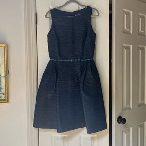 Lotus Grace Pleated Denim Dress